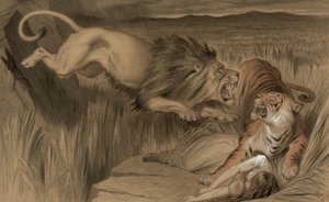 انتقام الأسد البريطاني على نمر البنغال ، 1870